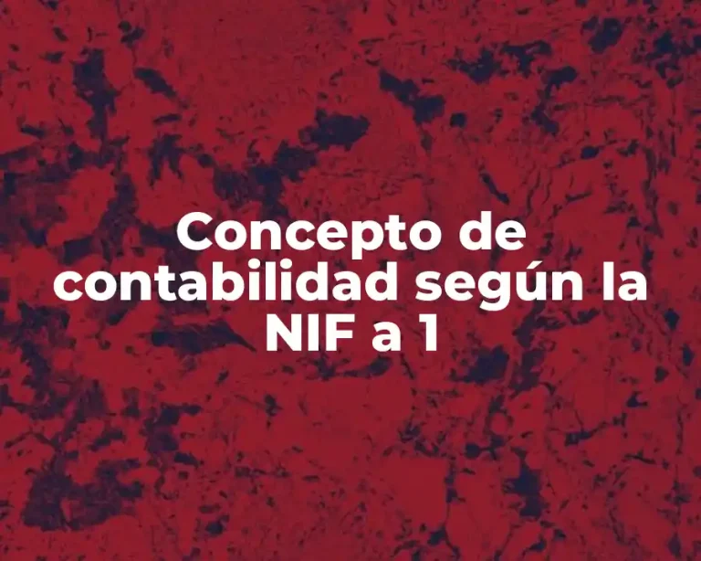 Concepto de contabilidad según la NIF a 1