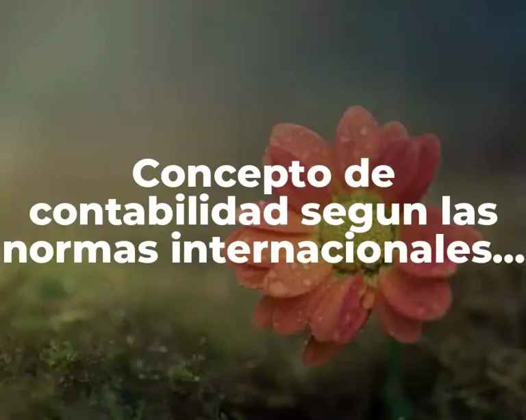 Concepto de contabilidad segun las normas internacionales de