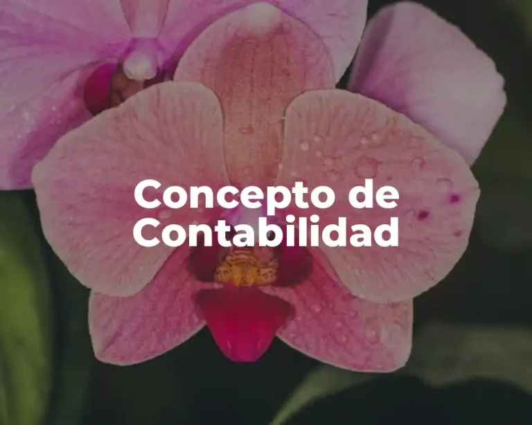 Concepto de Contabilidad