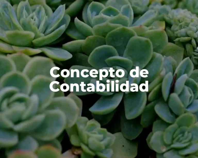 Concepto de Contabilidad