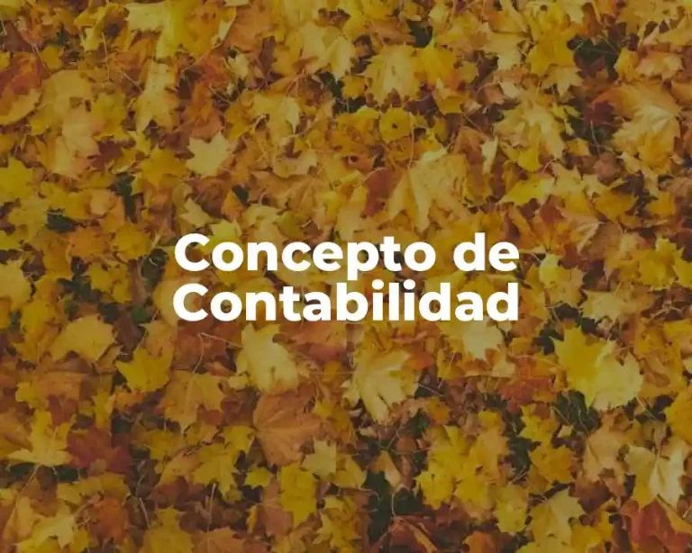 Concepto de Contabilidad