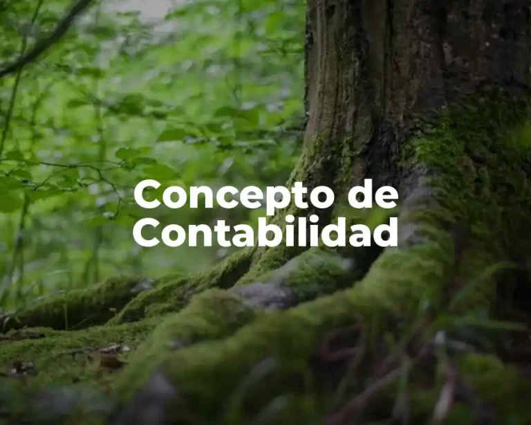 Concepto de Contabilidad