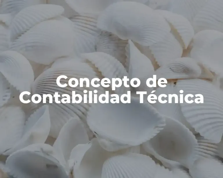 Concepto de Contabilidad Técnica