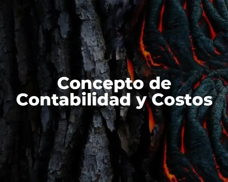 Concepto de Contabilidad y Costos