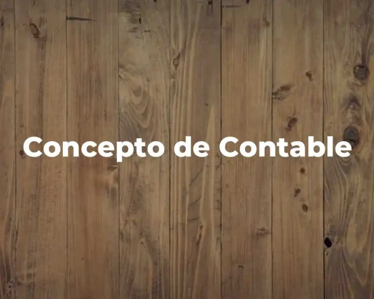 Concepto de Contable
