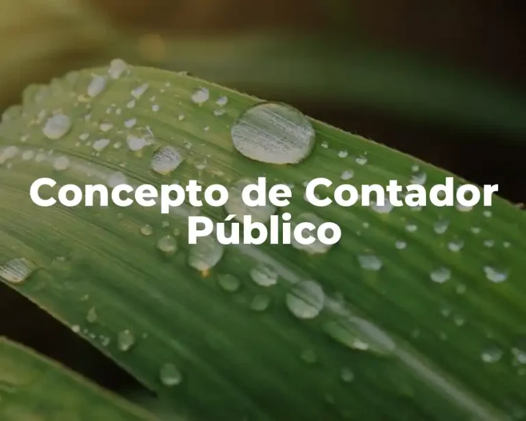 Concepto de Contador Público