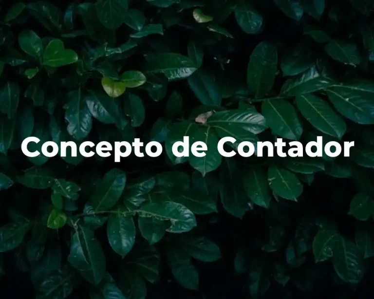 Concepto de Contador