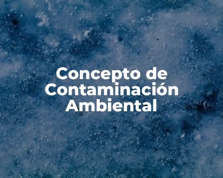 Concepto de Contaminación Ambiental