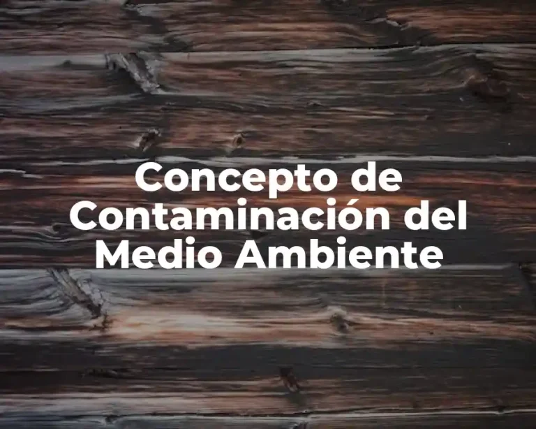 Concepto de Contaminación del Medio Ambiente