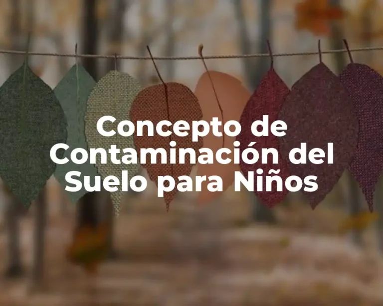 Concepto de Contaminación del Suelo para Niños
