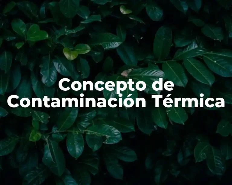 Concepto de Contaminación Térmica