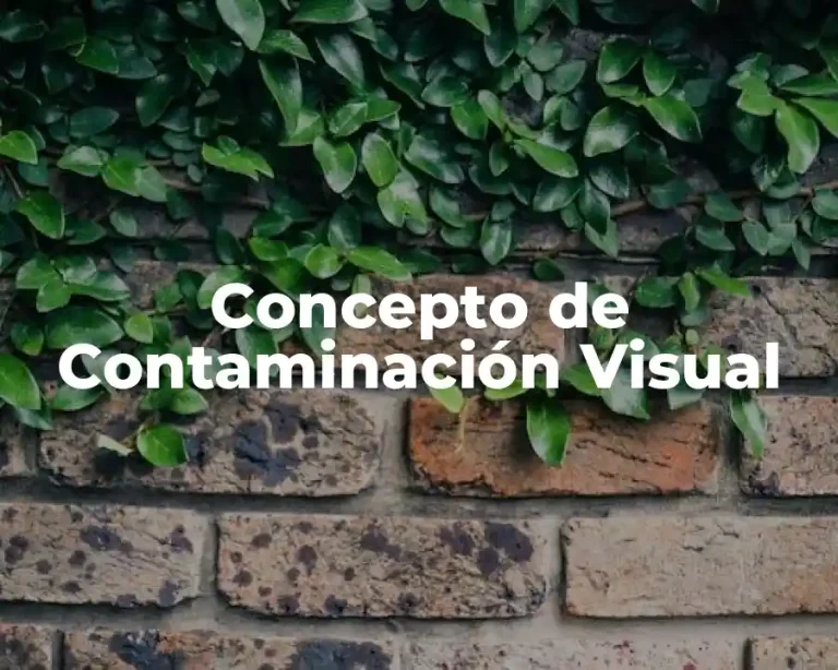 Concepto de Contaminación Visual
