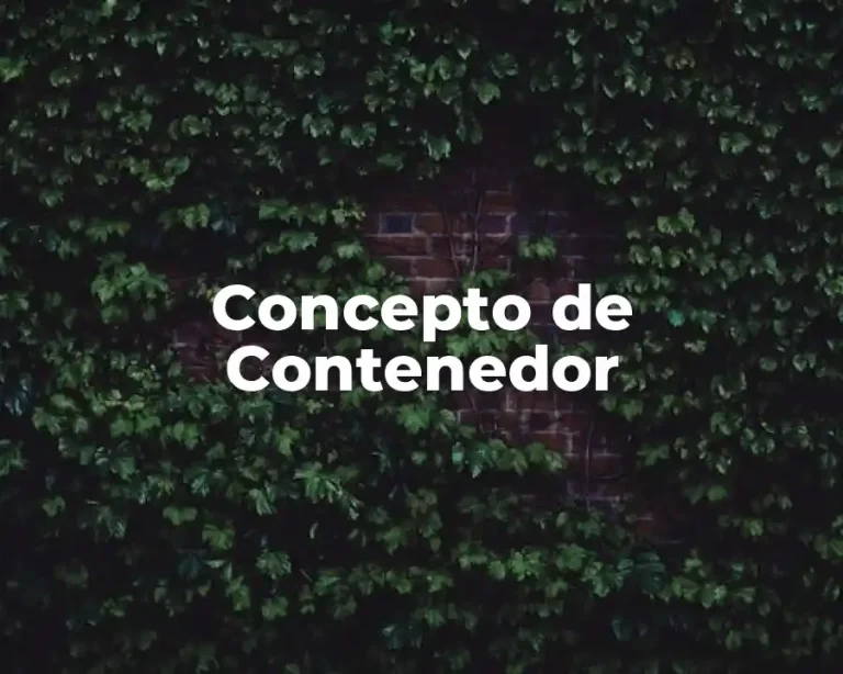 Concepto de Contenedor