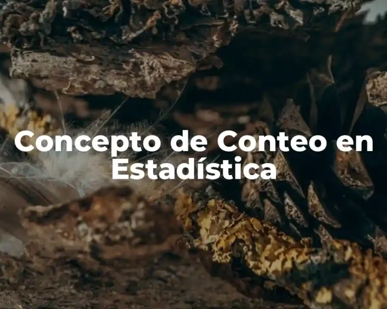 Concepto de Conteo en Estadística