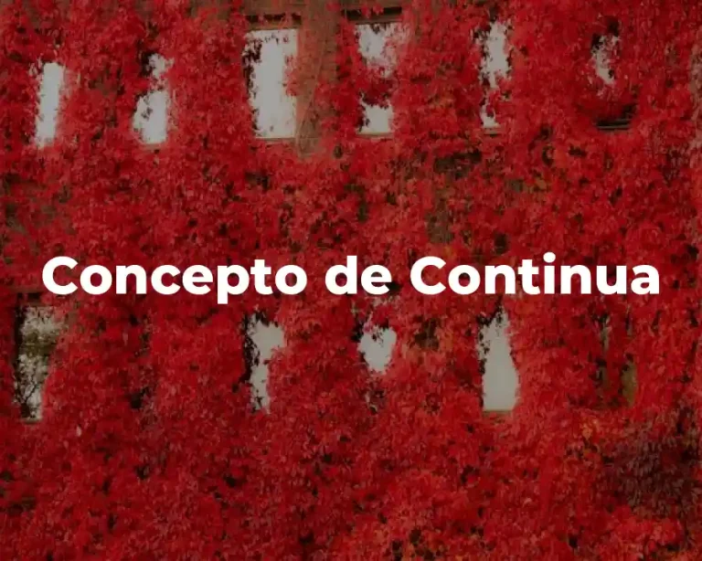 Concepto de Continua