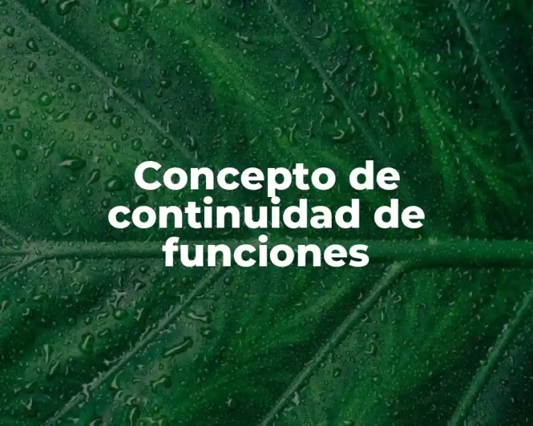 Concepto de continuidad de funciones