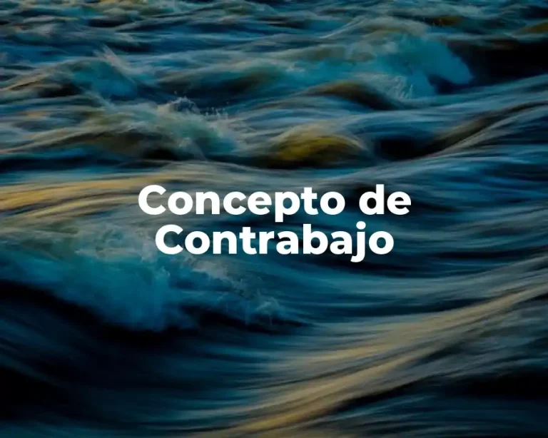 Concepto de Contrabajo