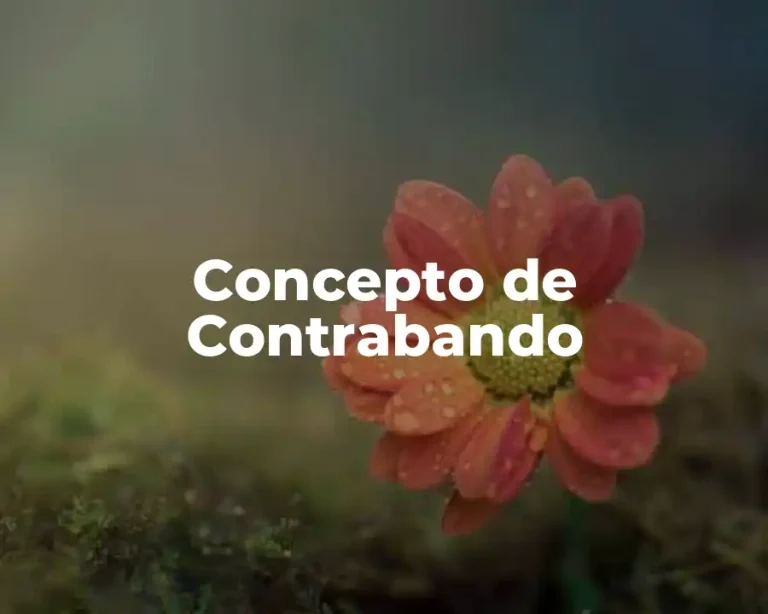Concepto de Contrabando