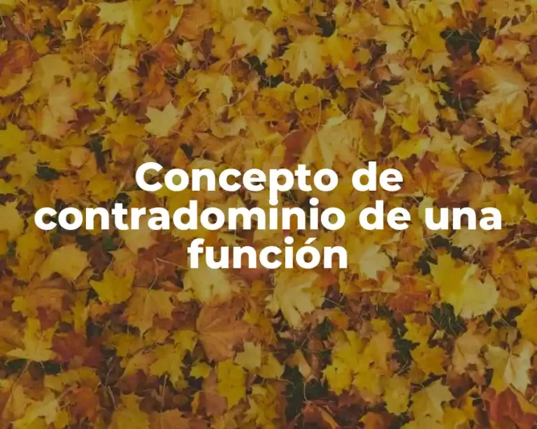 Concepto de contradominio de una función