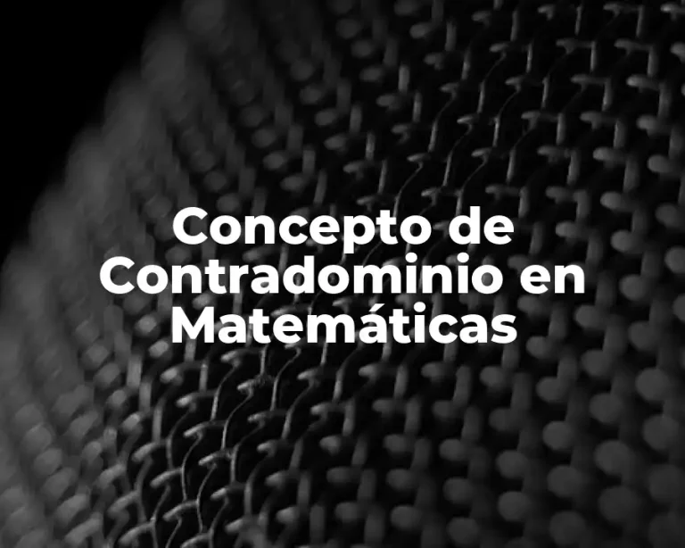 Concepto de Contradominio en Matemáticas