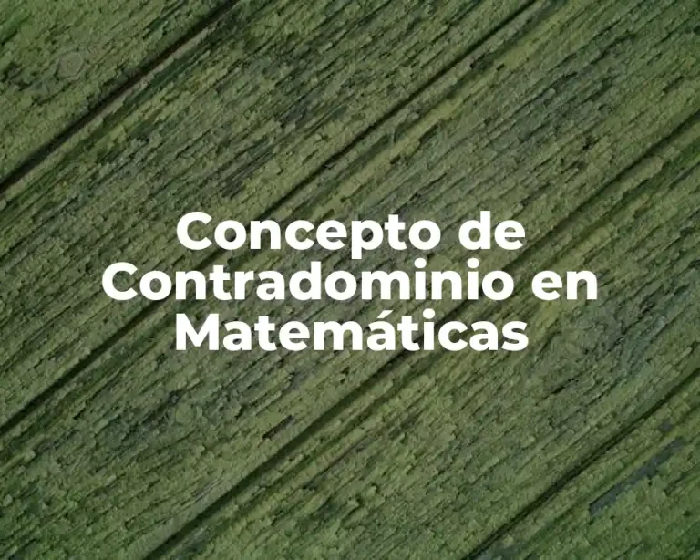 Concepto de Contradominio en Matemáticas