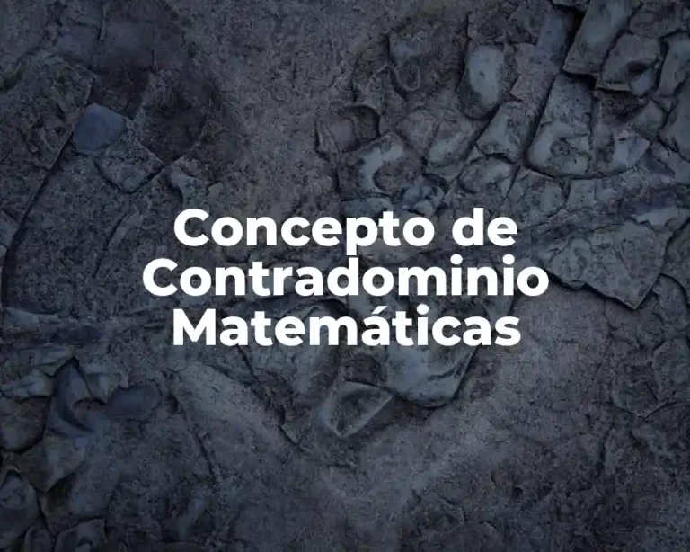 Concepto de Contradominio Matemáticas