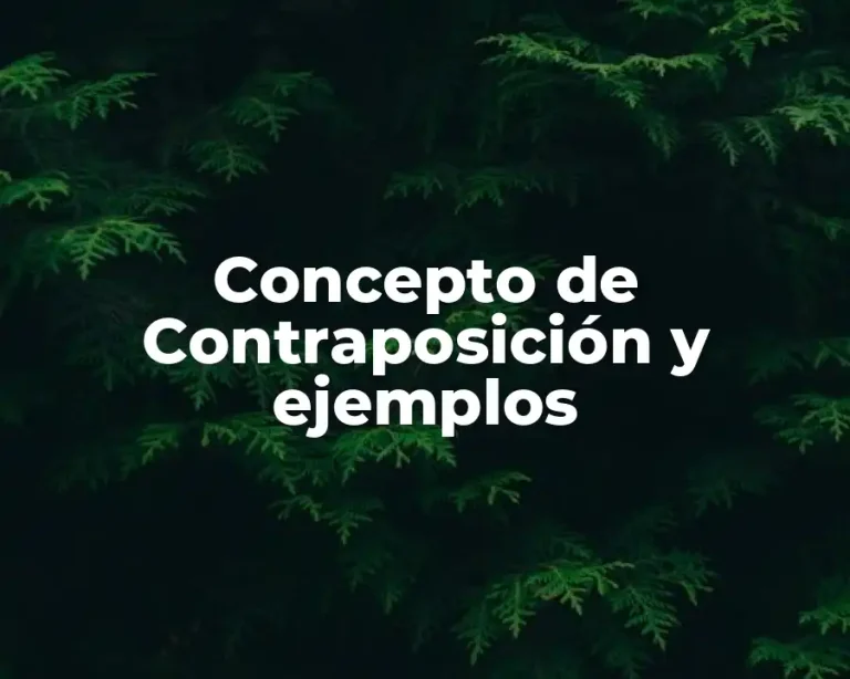 Concepto de Contraposición y ejemplos