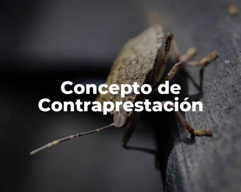 Concepto de Contraprestación
