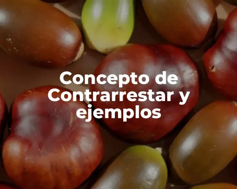 Concepto de Contrarrestar y ejemplos