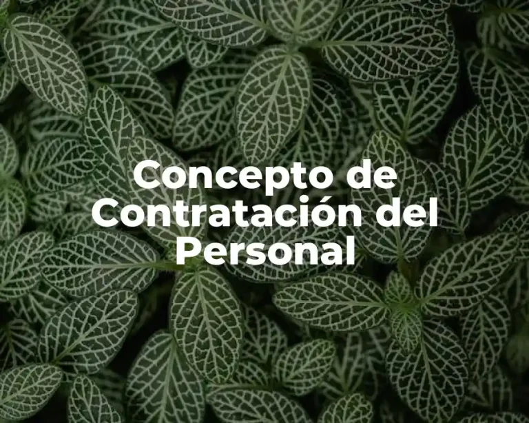 Concepto de Contratación del Personal