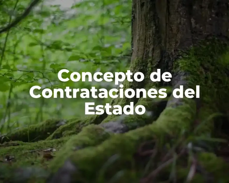 Concepto de Contrataciones del Estado