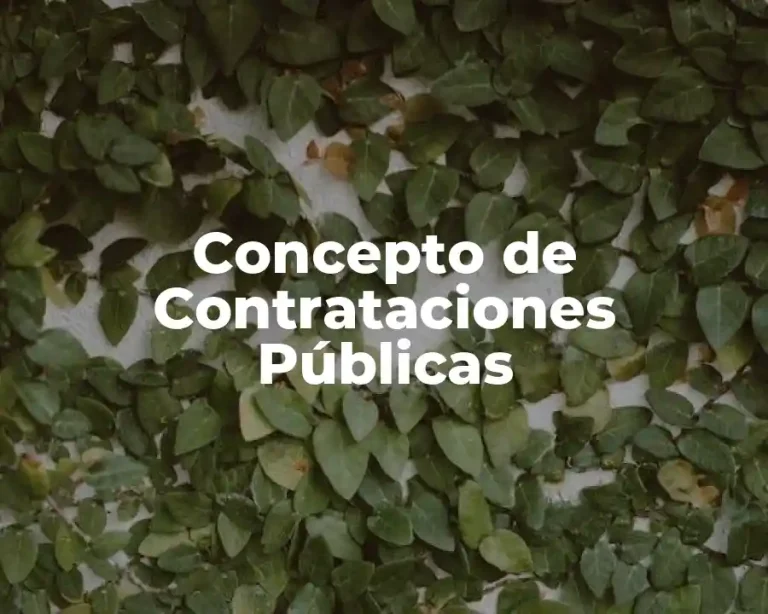 Concepto de Contrataciones Públicas