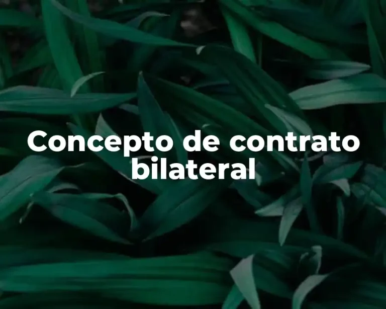 Concepto de contrato bilateral