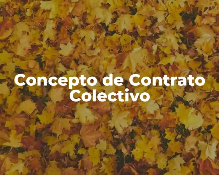 Concepto de Contrato Colectivo