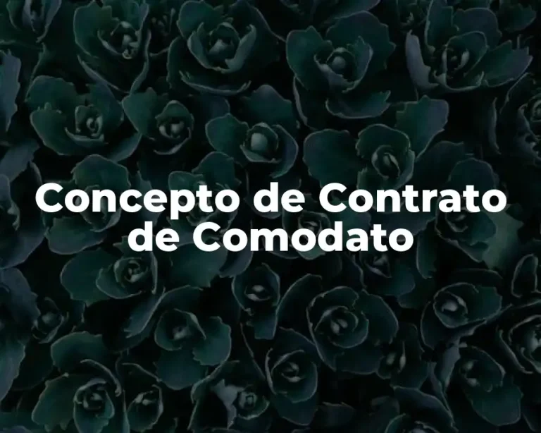 Concepto de Contrato de Comodato