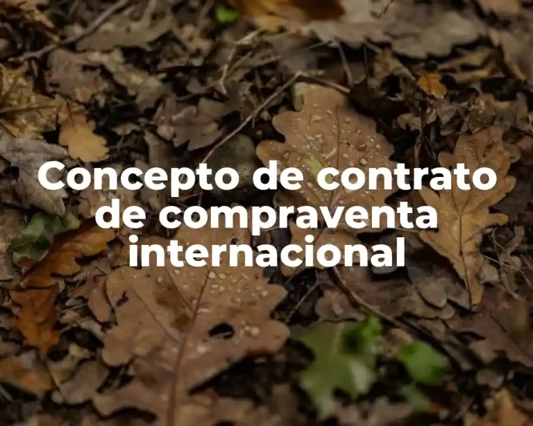 Concepto de contrato de compraventa internacional