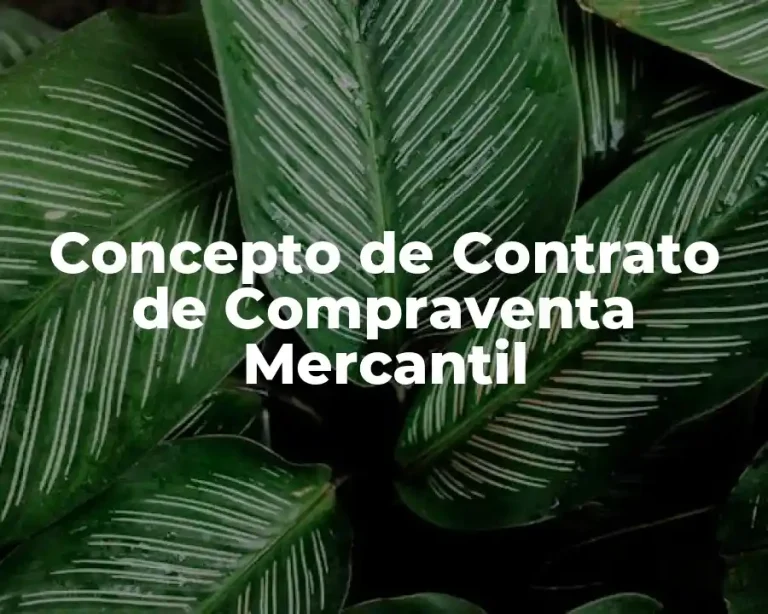 Concepto de Contrato de Compraventa Mercantil
