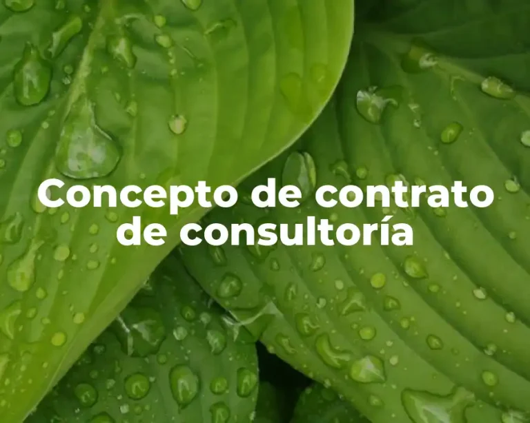 Concepto de contrato de consultoría