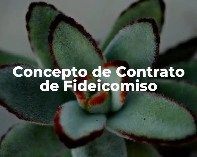 Concepto de Contrato de Fideicomiso