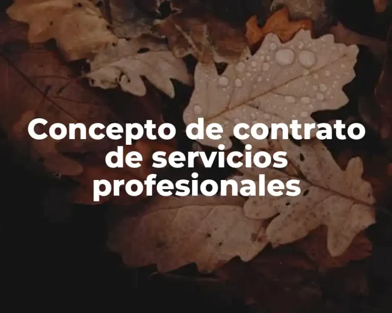 Concepto de contrato de servicios profesionales