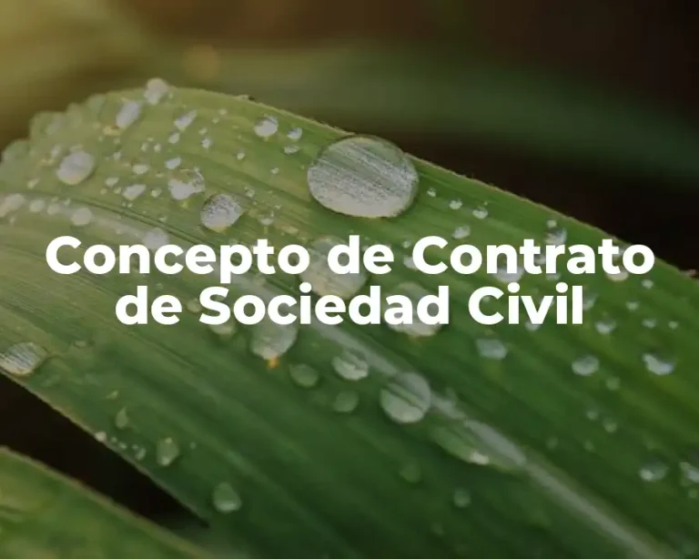 Concepto de Contrato de Sociedad Civil