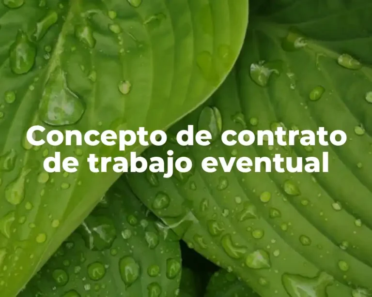 Concepto de contrato de trabajo eventual