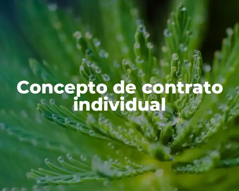 Concepto de contrato individual
