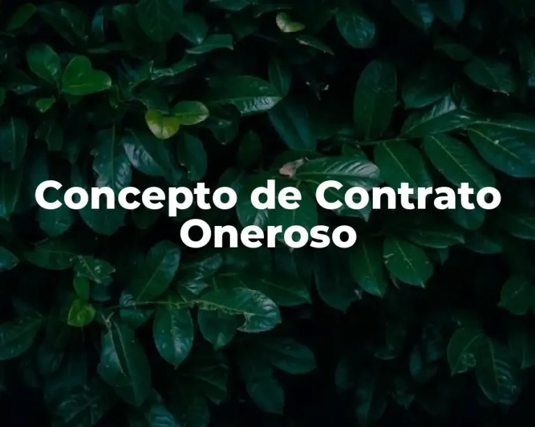 Concepto de Contrato Oneroso