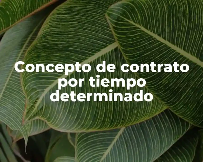 Concepto de contrato por tiempo determinado
