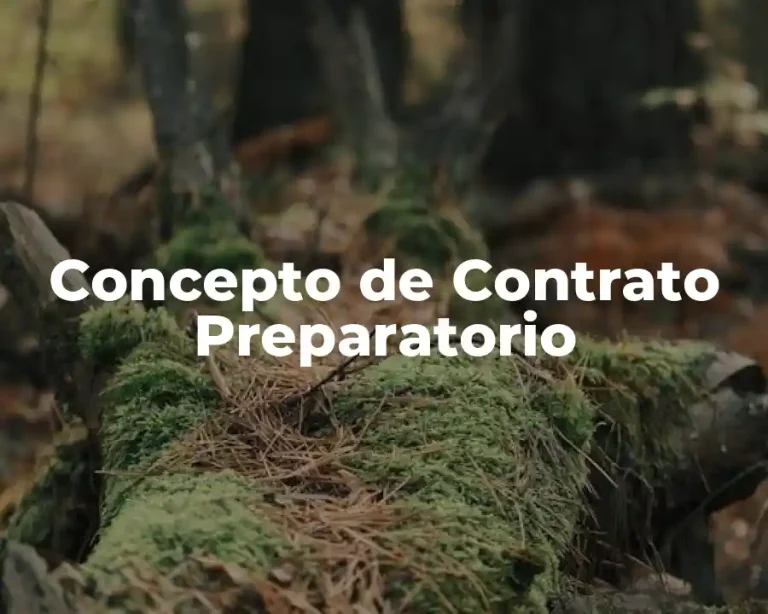 Concepto de Contrato Preparatorio