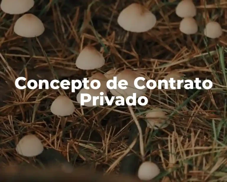 Concepto de Contrato Privado