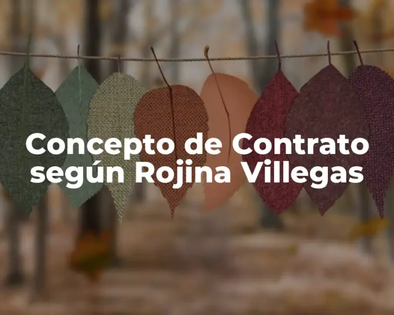 Concepto de Contrato según Rojina Villegas