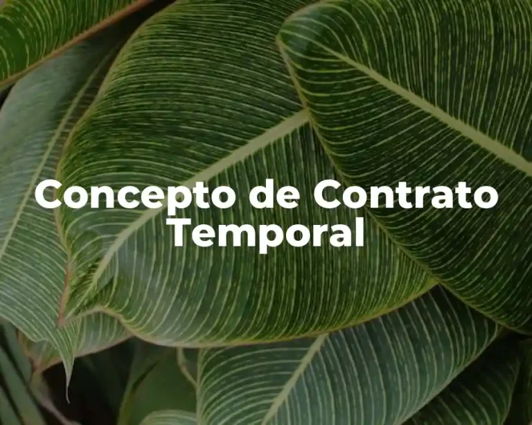 Concepto de Contrato Temporal