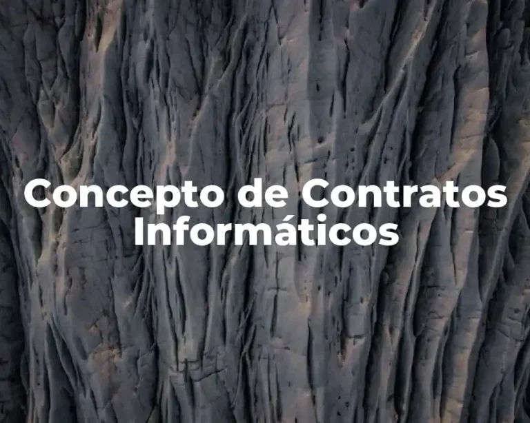 Concepto de Contratos Informáticos